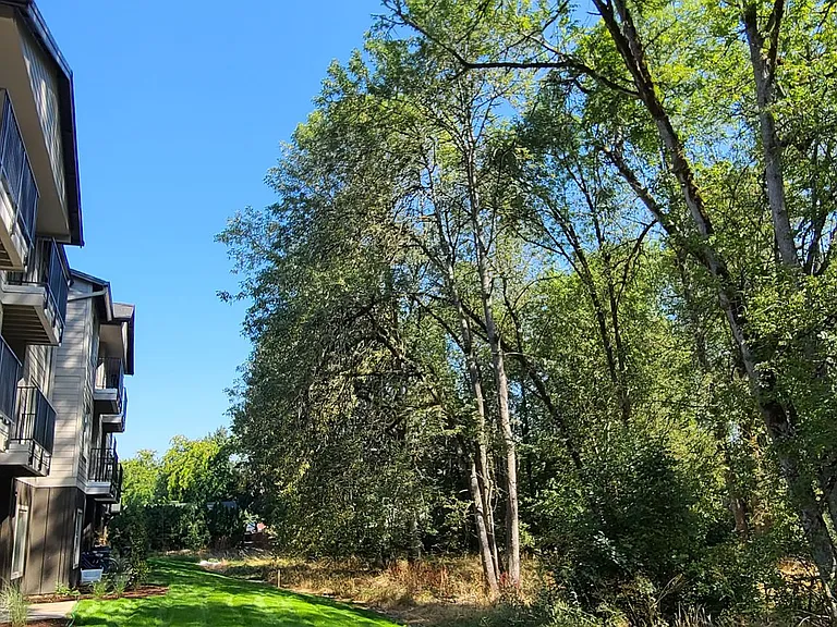 Meadow Brook Villas — Photo 50