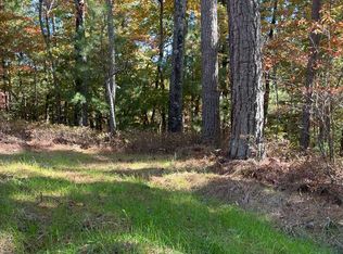 0 Bear Walk Rd, Mineral Bluff, GA 30559