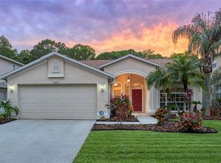 13013 Royal George Ave, Odessa, FL 33556