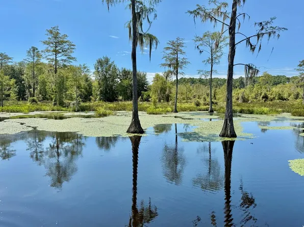 E College Ave, Slocomb, AL 36375