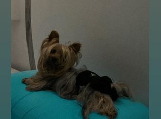 711 SW 47th Ave #711, Miami, FL 33134