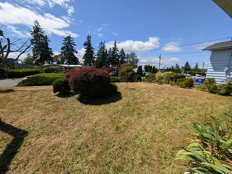 View of the front yard