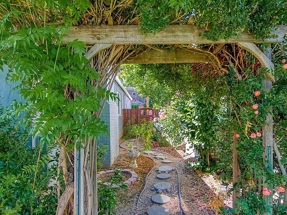 front side yard-east side