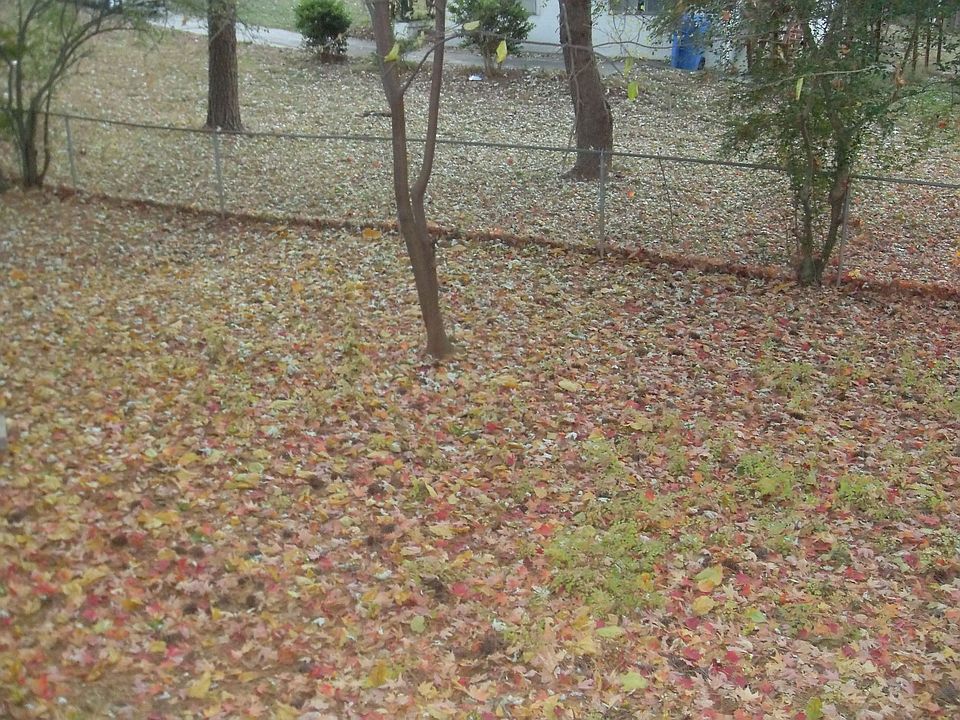 Fenced in Backyard-1