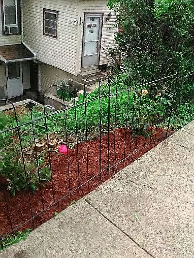 1st image of 804 Cowan Ave
