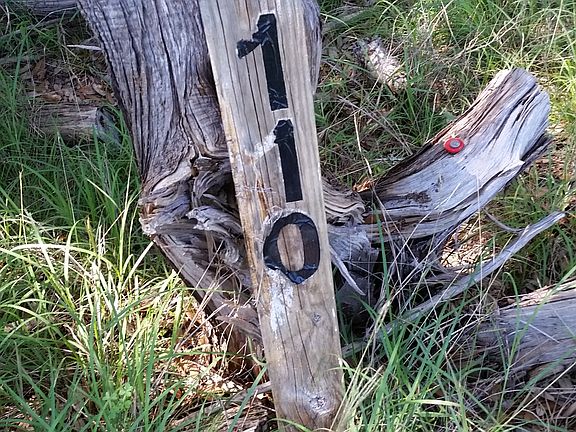 4th image of 219 Crazy Horse Trl