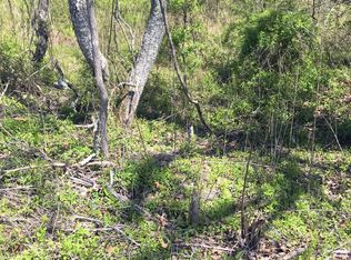 Maple Springs Rd, Tellico Plains, TN 37385