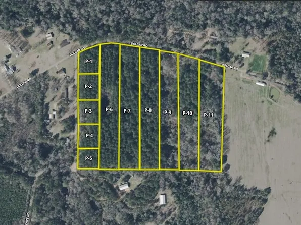Dollar Road And Pierce Rd Lot Wp008, Angie, LA 70426