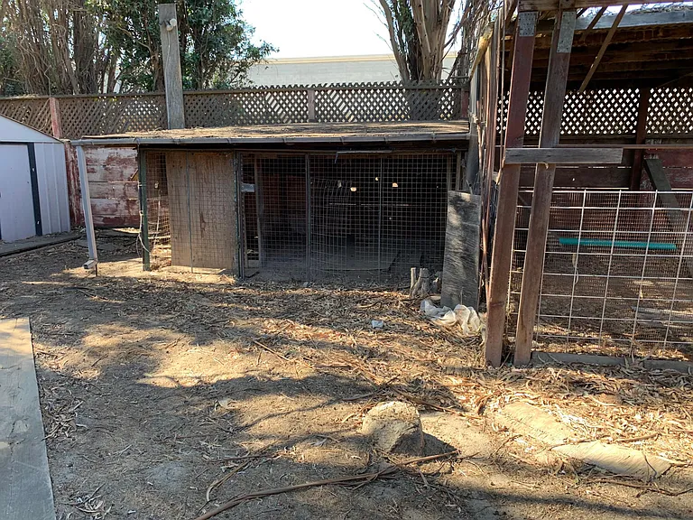 355 Nestles Rd — Photo 18