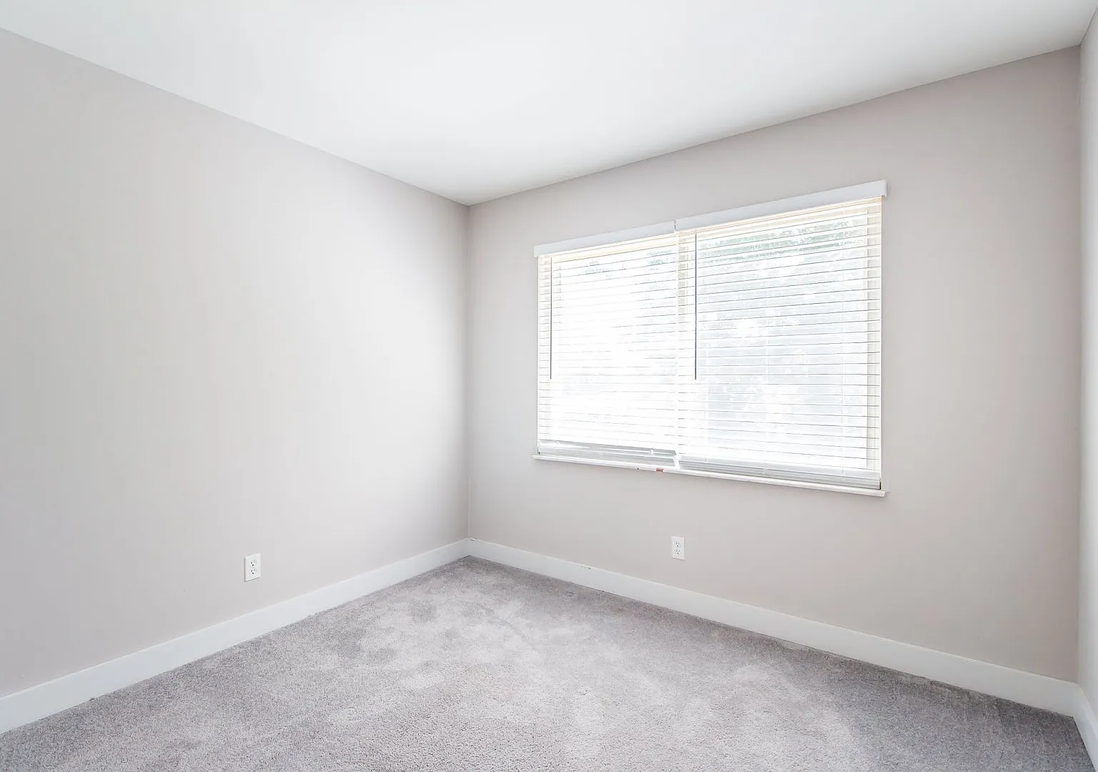 Pet friendly renovated two bedroom — Photo 3