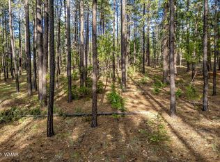 15 County Road 2083, Alpine, AZ 85920