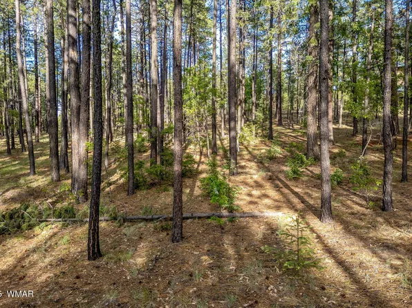 15 County Road 2083, Alpine, AZ 85920