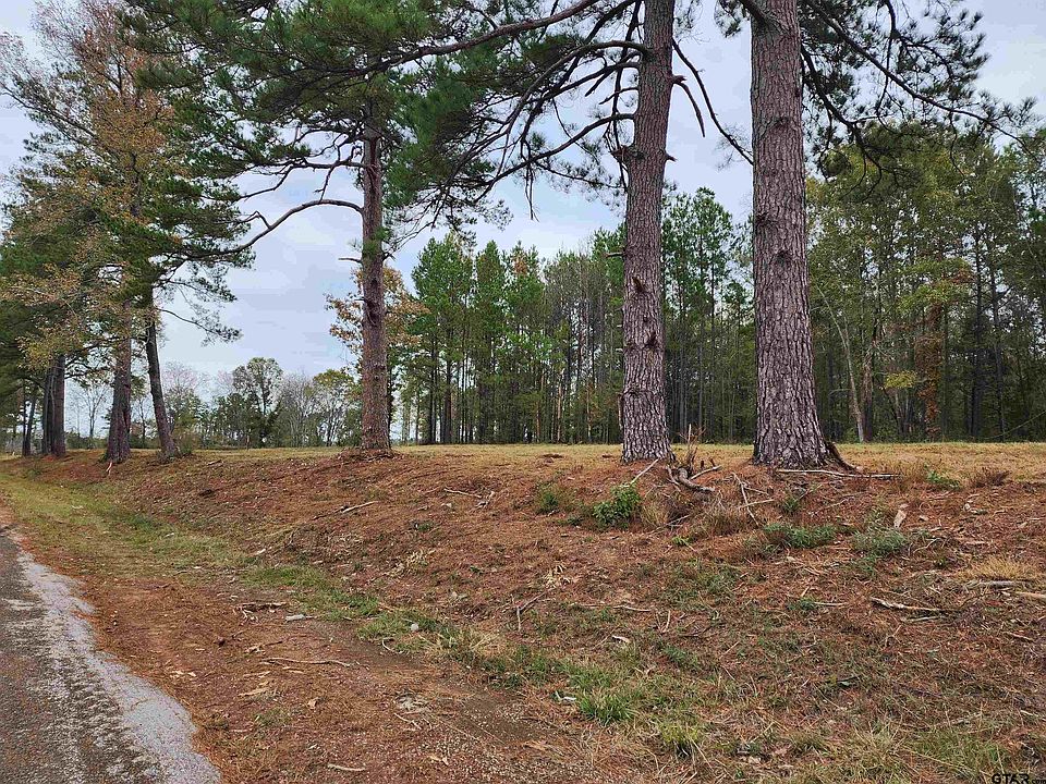 1st image of LOT 6 NE County Road 363