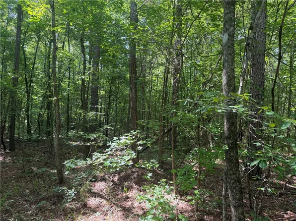 County Road 187, Lanett, AL 36863