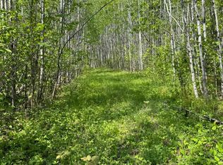 Xx Fors Rd, Two Harbors, MN 55616