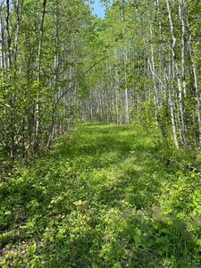 Xx Fors Rd, Two Harbors, MN, 55616
