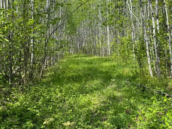 Xx Fors Rd, Two Harbors, MN 55616