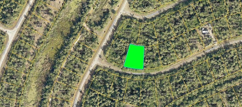 2nd image of Largeleaf St #29