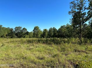 921 Sycamore Ln, Jackson Springs, NC 27281