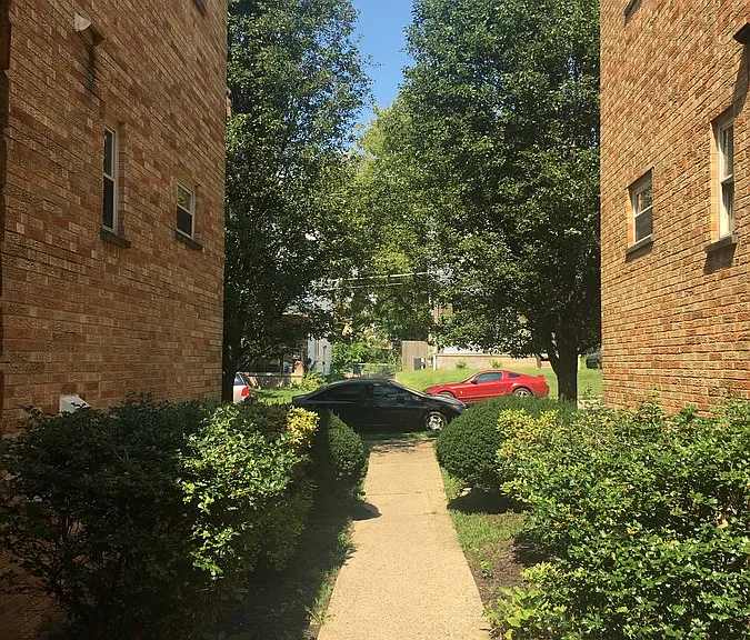 3727 Dina Ave #10 — Photo 15