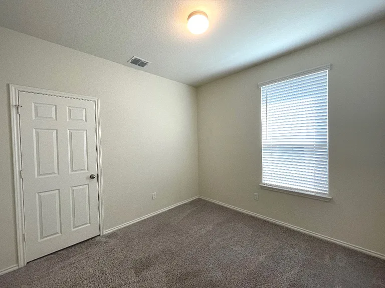 208 Texas Thistle — Photo 21