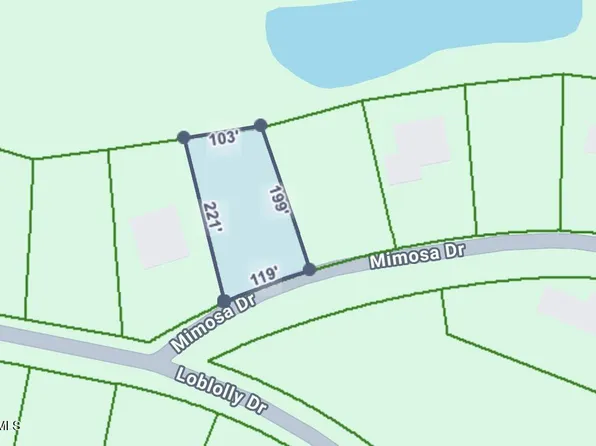 707 Mimosa Drive, Vass, NC 28394