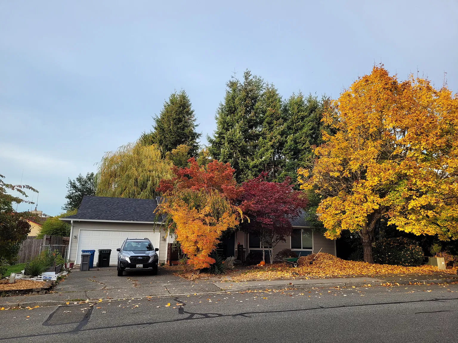 3 bed, 1270 sqft, $1,000 — Photo 1
