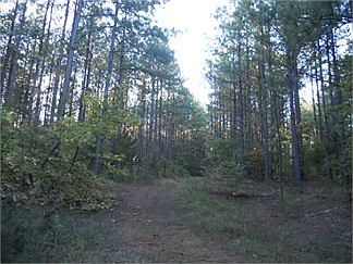2nd image of 540-5 Lisa Ln #521