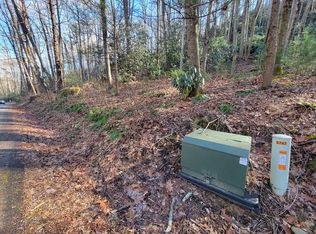 717 Coyote Hollow Rd, Waynesville, NC 28785