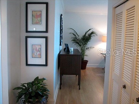 2nd image of 2401 Bayshore Blvd Unit 407