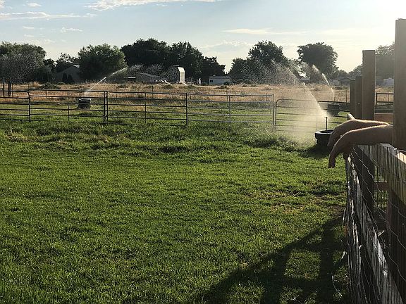 Pasture w/sprinklers