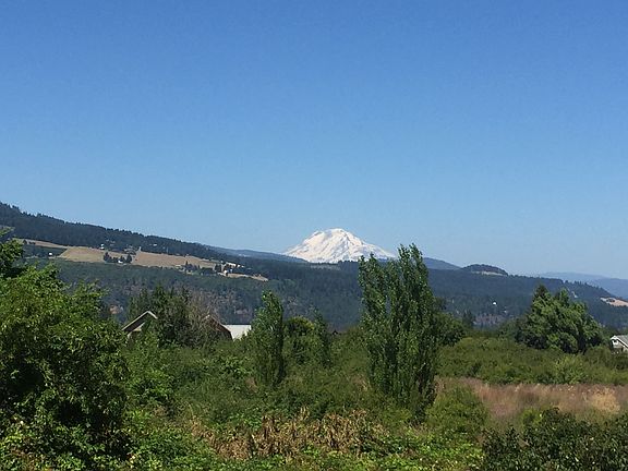 Mount Adams view