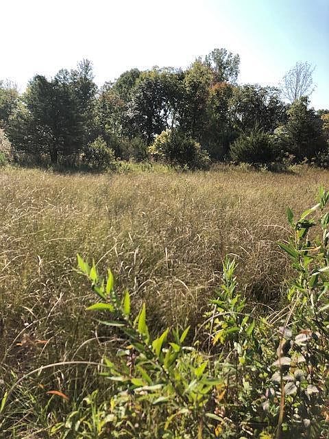 2nd image of 3 Pike Ln