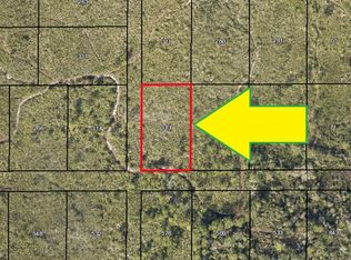 0 Access Puddle Duck Ln, Malabar, FL 32950