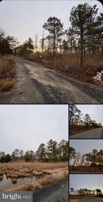 0 Clara Rd, Tyaskin, MD 21865