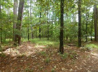 41 Altwood Ct, Coldspring, TX 77331