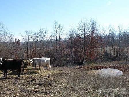 5th image of 0 Quarter Horse Ln