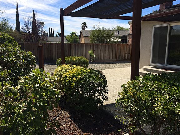 Arbor in Back Yard