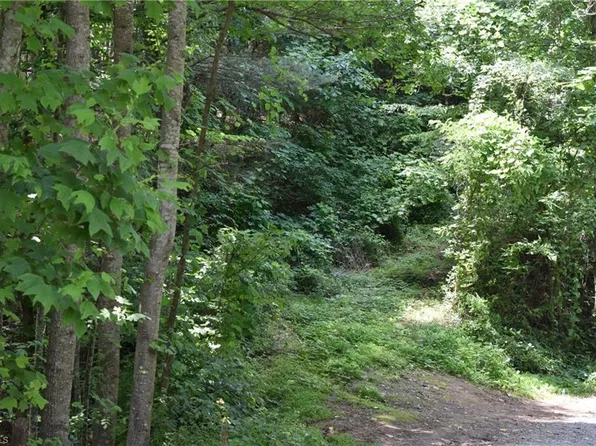 803 Epworth Rd, Cana, VA 24317