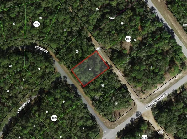 11064 N Edith Point, Citrus Springs, FL 34434