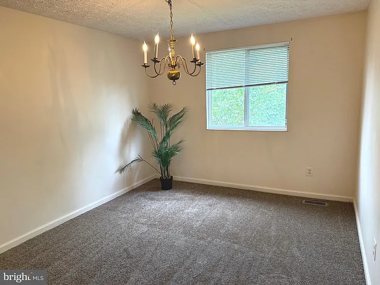 12866 Bison Ct — Photo 7