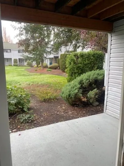 View from back patio