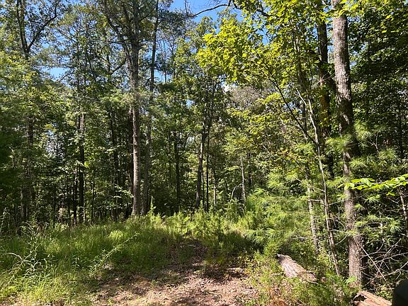 48th image of this home