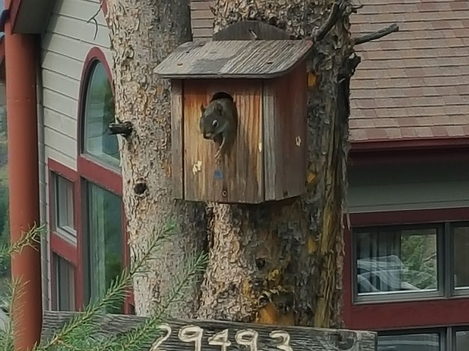 2nd image of 29493 Gray Hawk Dr
