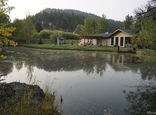 480 Brookside Dr, Bailey, CO 80421