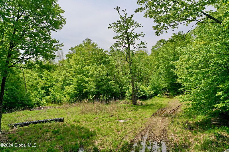 4th image of 430 Lake Desolation Road