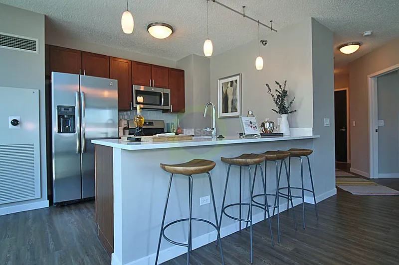 Streeterville Two Bedroom 2B Luxury Amenities, Great Location — Photo 3