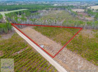 12 Bennett Grooms Rd, Brooklet, GA 30415