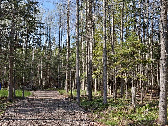 5th image of LOT Forest Glade Rd