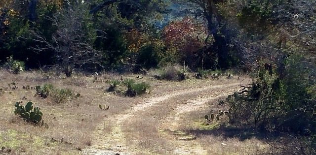 1st image of 16355 E State Highway 29